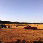Farmers baling hay just before sunset.